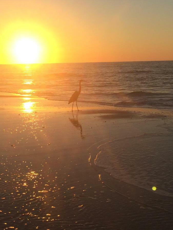 Romantic Condo For 2-Sunset Harbor Palms 1-205, Pool, Fishing Pier Navarre Exterior foto